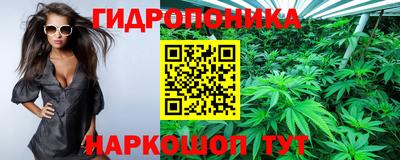молекула духа Заволжье
