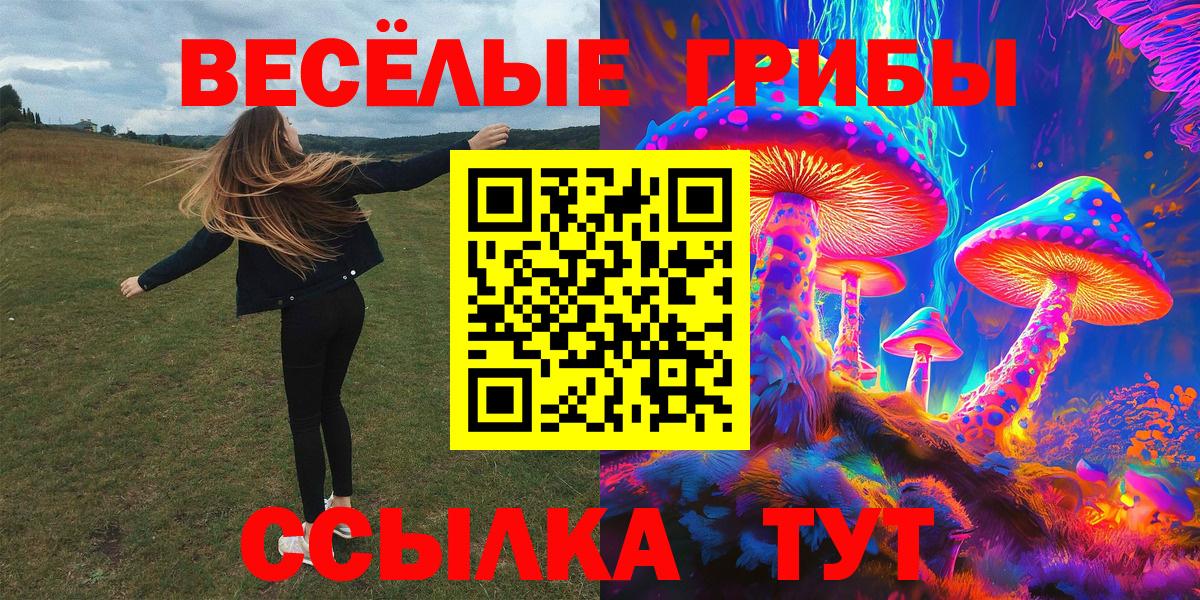 Псилоцибиновые грибы прущие грибы Киреевск