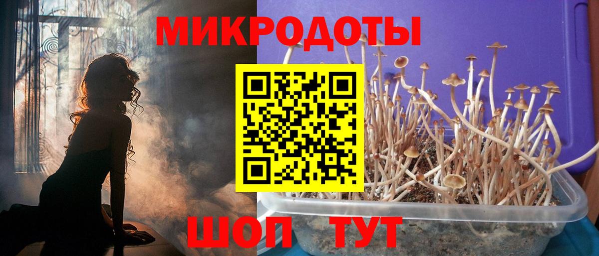 Киреевск  Псилоцибиновые грибы мухоморы  Вход с VPN  Псилоцибиновые грибы Cubensis 